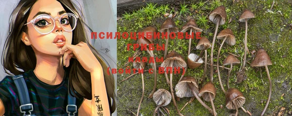 ECSTASY Заводоуковск