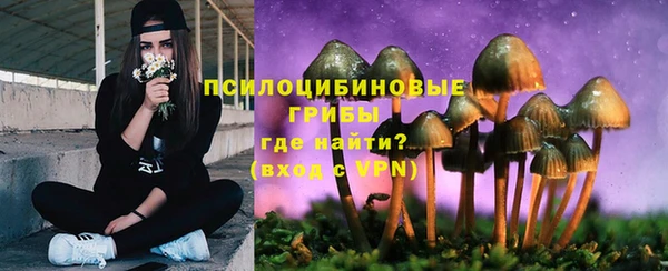 сатива Заволжск