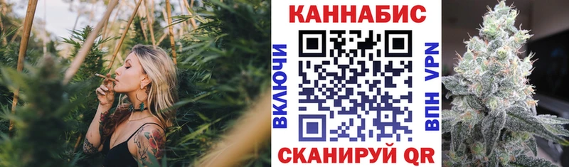 Бошки марихуана гибрид  Чегем 